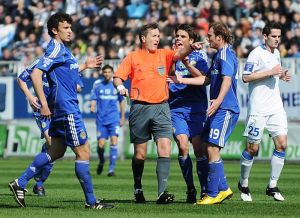 Синие чайки (с), фото Ильи Хохлова