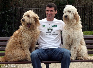 фото dailymail.co.uk