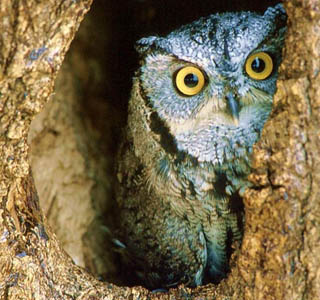 Top Week 10: Лучшие новости недели