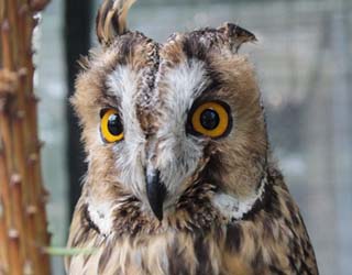 Top Week 10: Главные новости недели