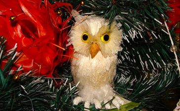 С новым годом!