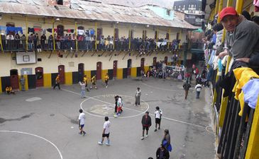 Поле в клеточку, мяч в полосочку