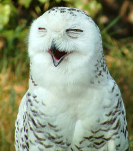 Top Week 10: Главные новости недели  