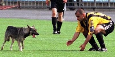 Жора и песик :), sport-express.ru