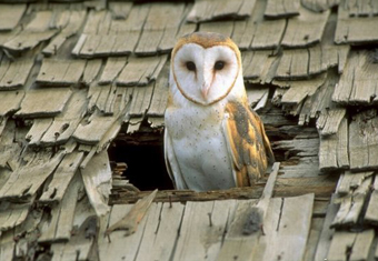 Top Week 10: Главные новости недели  