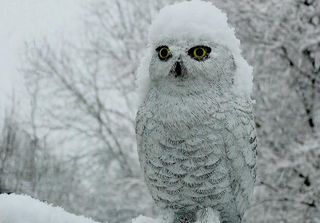 Top Week 10: Главные новости недели