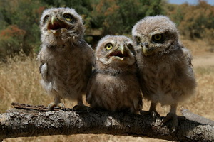 Мы тебя запомнили!