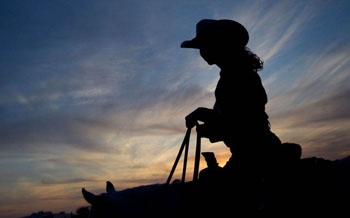 Скакуны отправятся в Техас сыграть с Динамо