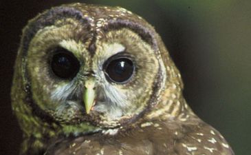 Top Week 10: Главные новости недели