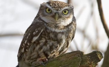 Top Week 10: Главные новости недели