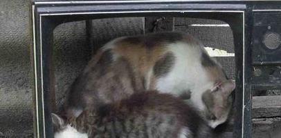 Деньги получат все!