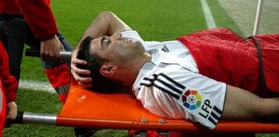 Рейеса вынелси, 