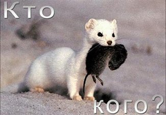 Бундеслига. Анонс тура  