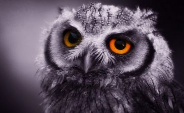 Top Week 10: Главные новости недели