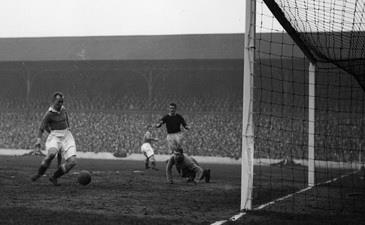 Один из 463 голов Хьюи Галлахера