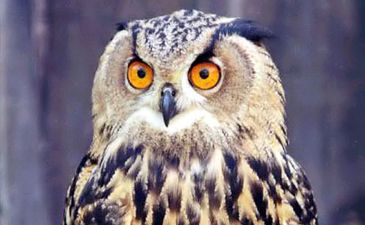 Top Week 10: Главные новости недели