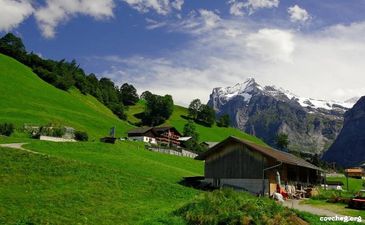 Красота-то какая... лепота!, фото covcheg.org