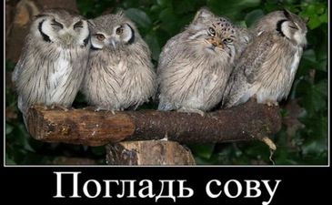 Top Week 10: Главные новости недели