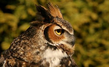 Top Week 10: Главные новости недели