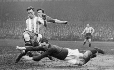 Совы - чемпионы!