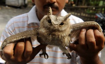 фото Getty Images