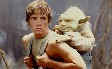 Галерея The Guardian: Фернандушка-мазилка