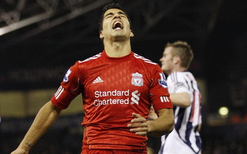 Вот он! Вот он, дельфин моей мечты! Getty images