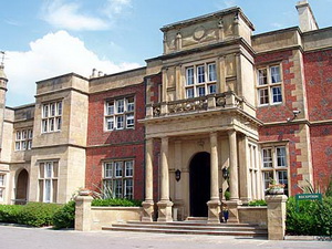 фото ФК Динамо