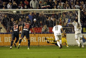 фото Marca