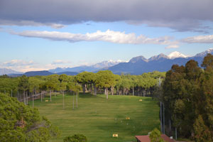 фото ФК Металлург Д