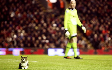 Англия. Итоги тура