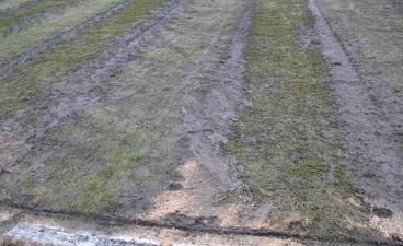 Фото metallurg.donetsk.ua