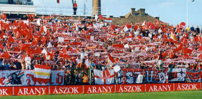 Так болеют фанаты чемпиона, dvsc.hu