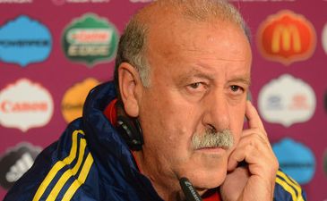 Висенте дель Боске, фото zimbio.com