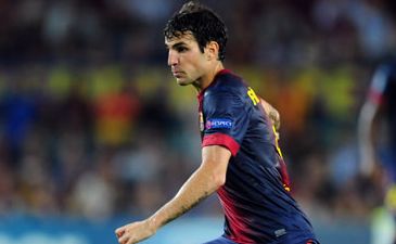 Сеск Фабрегас, фото google.com