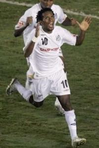 Зе Роберто - один из лучших игроков Копа Либертадорес, фото Reuters