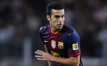 Педро, фото zimbio.com