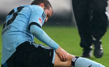 Рафаэль ван дер Ваарт, Getty Images