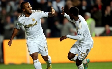 Лебеди празднуют успех, bbc.co.uk