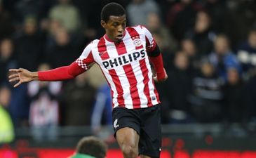 Вейналдум мог похоронить Твенте, ANP