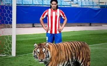 Фалькао на перепутье