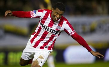 Жоржиньо Вейналдум, ANP