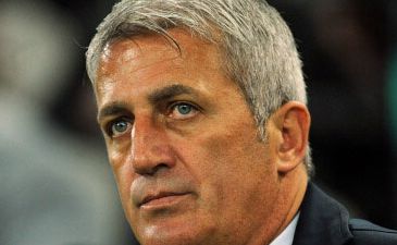 Владимир Петкович, фото footballaustralia.com.au