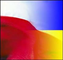 Евро, mignews.com.ua