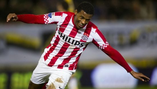 Жоржиньо Вейналдум, ANP