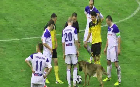 Первая лига. Пятерка для Буковины