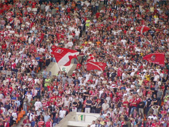 Перестарались ребята