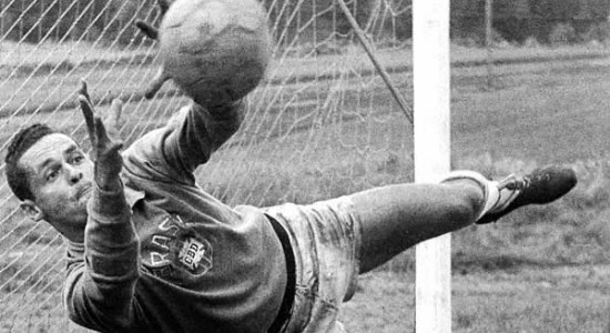 Жилмар дос Сантос Невес, gatopeleque.blogspot.com