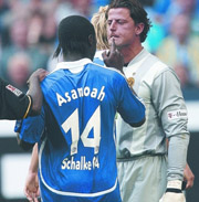 Асамоа успокаивает кипера, mittelbayerische.de