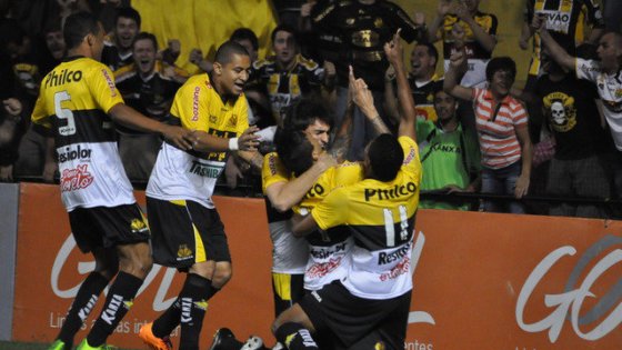 Крисиума цепляется за жизнь, фото Gazeta Press